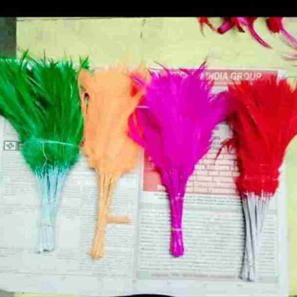 Decorative Feathers New - Image 65