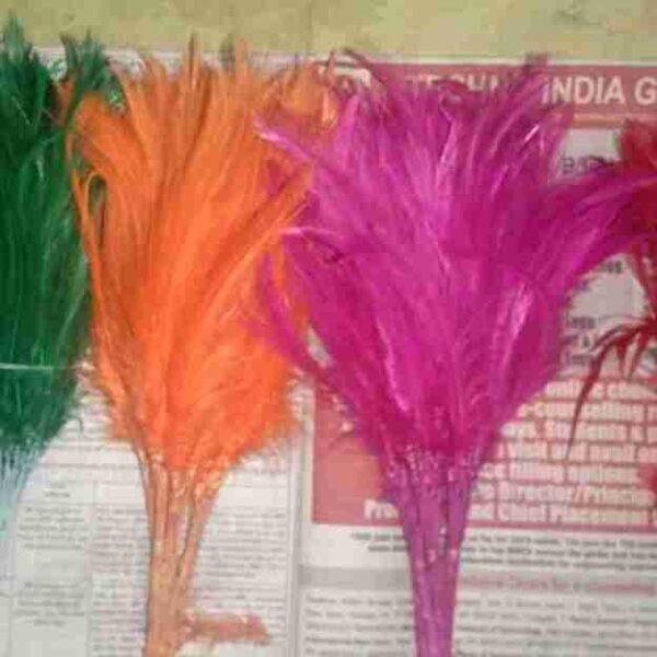 Decorative Feathers New - Image 67
