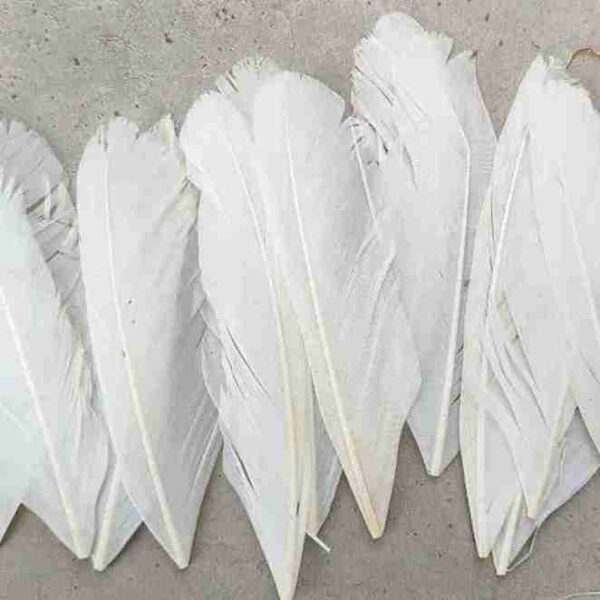 Complete Fly Tackle Checklist for USA Trout Fishing Trips