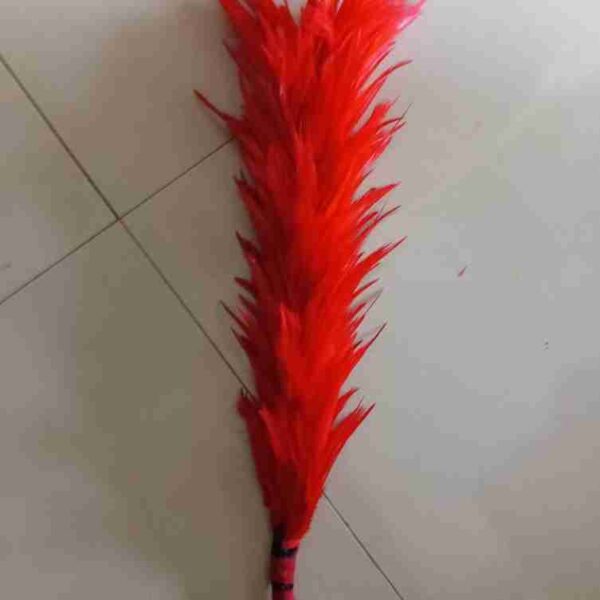 Decorative Feathers New - Image 20