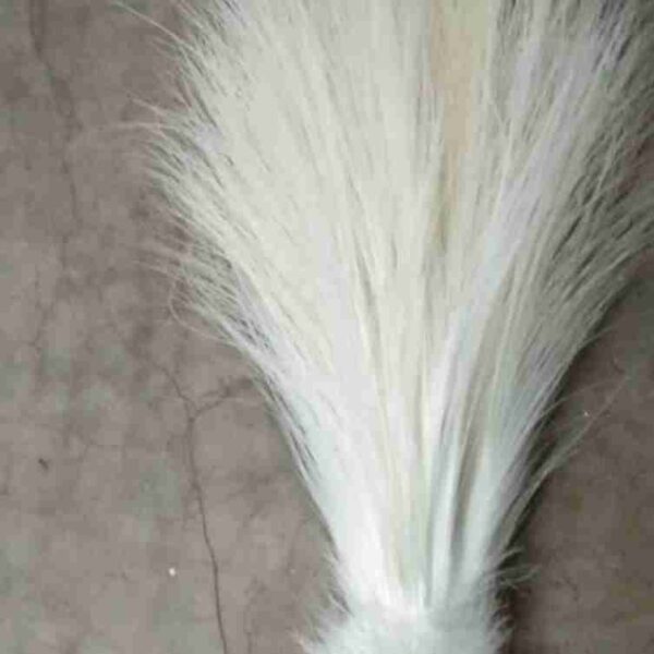 Decorative Feathers New - Image 69