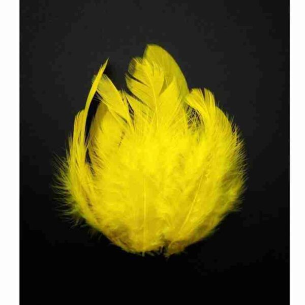Decorative Feathers New - Image 75