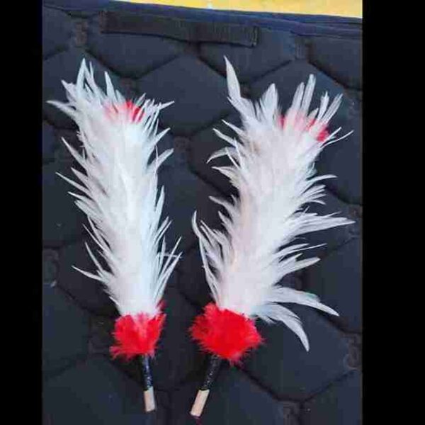 Decorative Feathers New - Image 27
