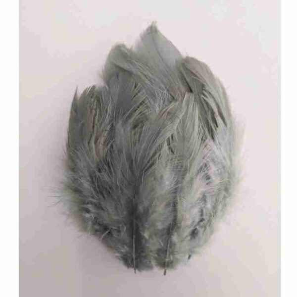 Decorative Feathers New - Image 76
