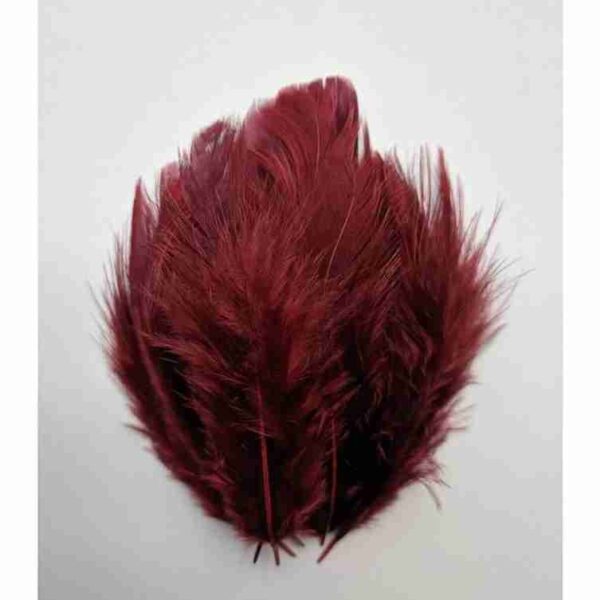 Decorative Feathers New - Image 78