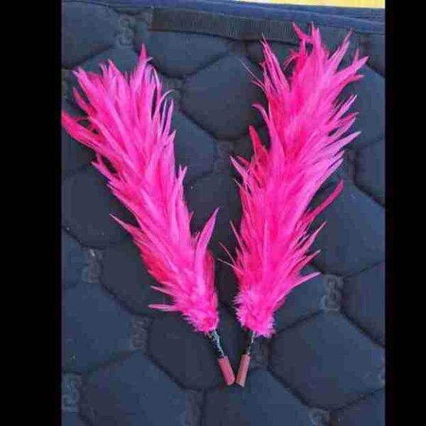 Decorative Feathers New - Image 30