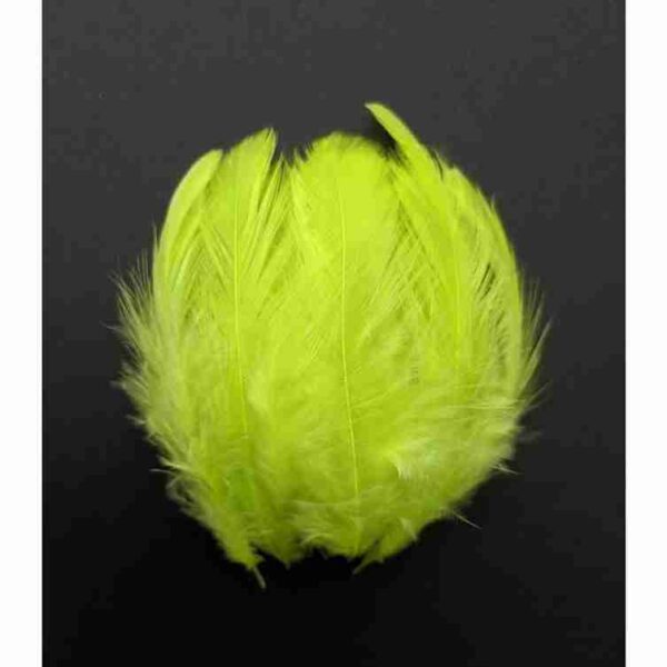 Where to Buy Decorative Feathers