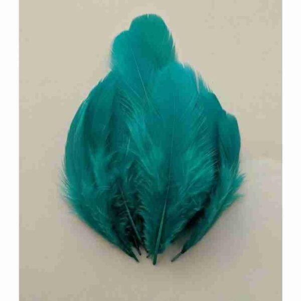 Where to Buy Decorative Feathers