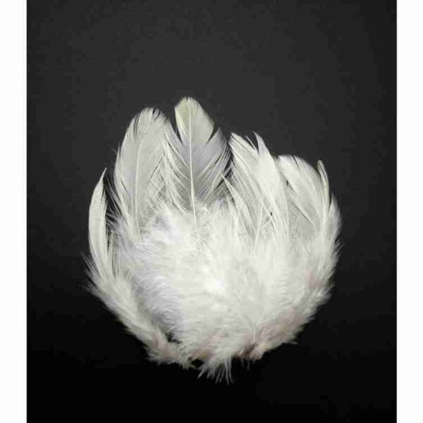Decorative Feathers New - Image 81