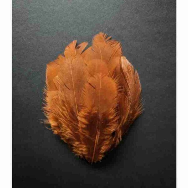 Decorative Feathers New - Image 83