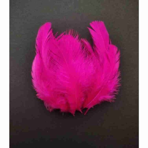 Decorative Feathers New - Image 84