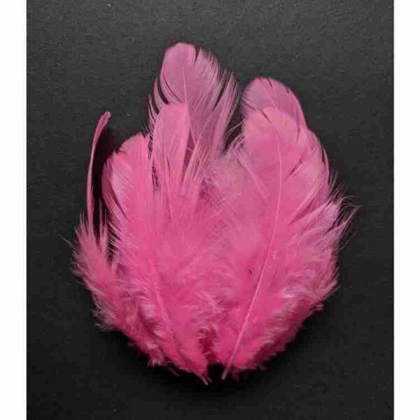 Decorative Feathers New - Image 86