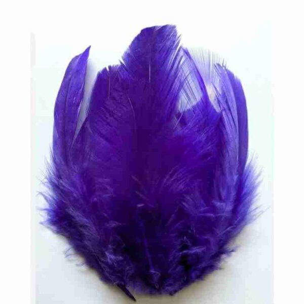Decorative Feathers New - Image 87