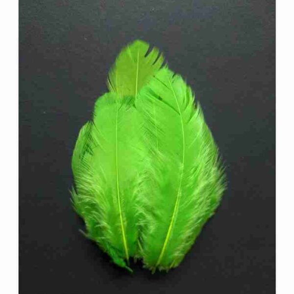 Where to Buy Decorative Feathers for Fly Tying Online