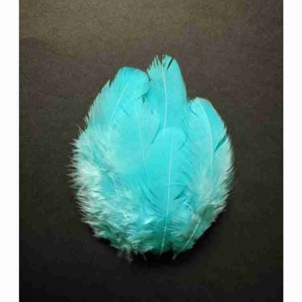 Decorative Feathers New - Image 88