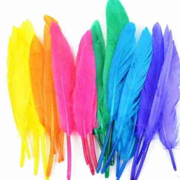 Affordable Rooster Hackle Feathers for Fly Tying in the U.S. Market