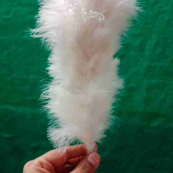 Decorative Feathers New - Image 100