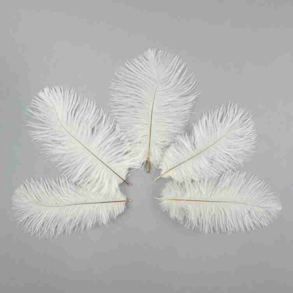 Decorative Feathers New - Image 99