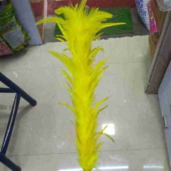 Decorative Feathers New - Image 101