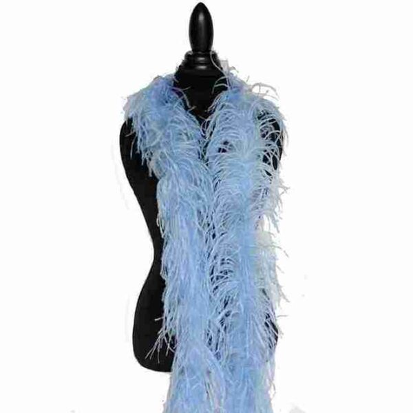 Decorative Feathers New - Image 105