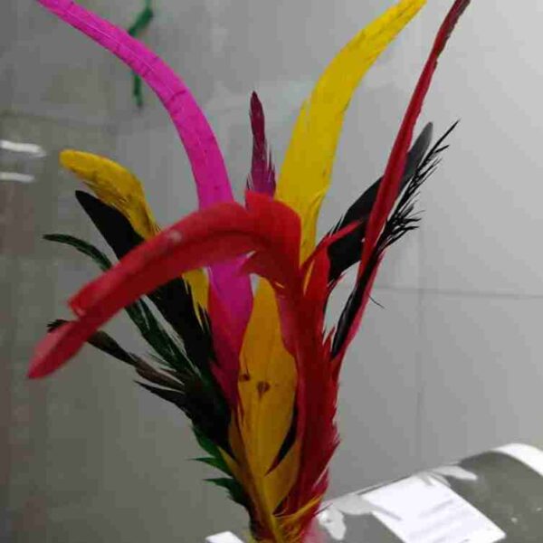 Decorative Feathers New - Image 110