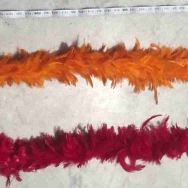 Decorative Feathers New - Image 112