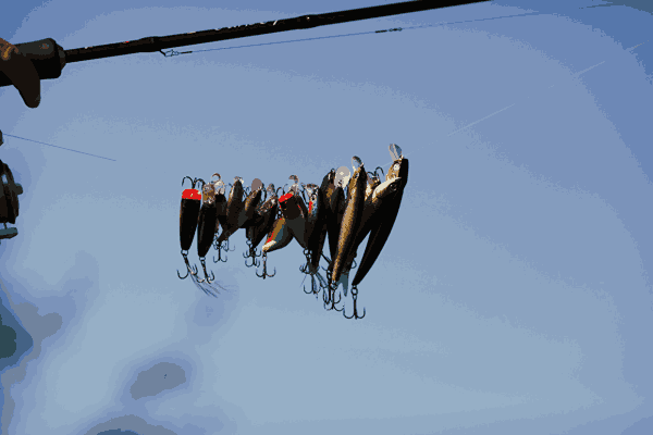 Where to Buy Quality Fly Tackle Online in 2025