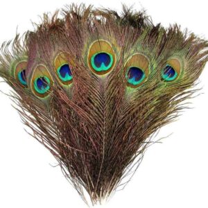 Peacock Feather Eyes 2-6 Cm Peacock Feather Feathers 40-50cm