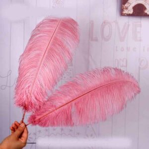 Household Simple Dyeing Big Ostrich Feathers