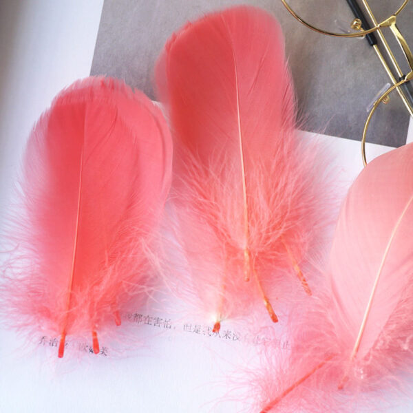 Macaron Color Feather Diy Decoration Cat Teaser Material - Image 7