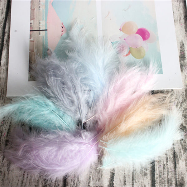 50 Imported Turkey Feathers In Dream Makaron DIY - Image 2