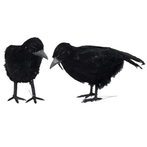 Simulation Winged Feather Crow - Image 3