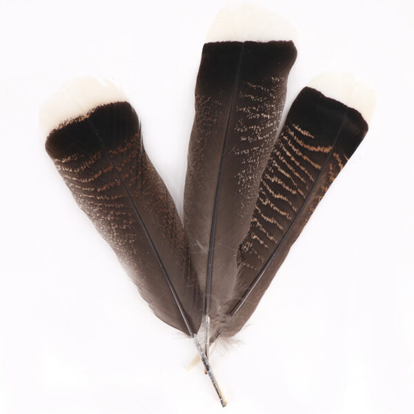 Stage Hair Accessories Feather Accessories Accessories Grain Feather Pen - Image 5