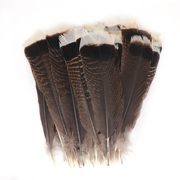Stage Hair Accessories Feather Accessories Accessories Grain Feather Pen - Image 3