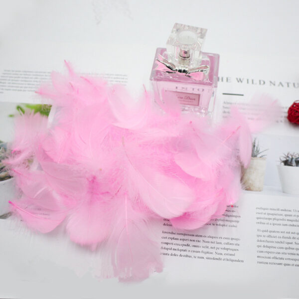 Gift Box Decoration Fillings Handmade DIY Natural Feathers - Image 2