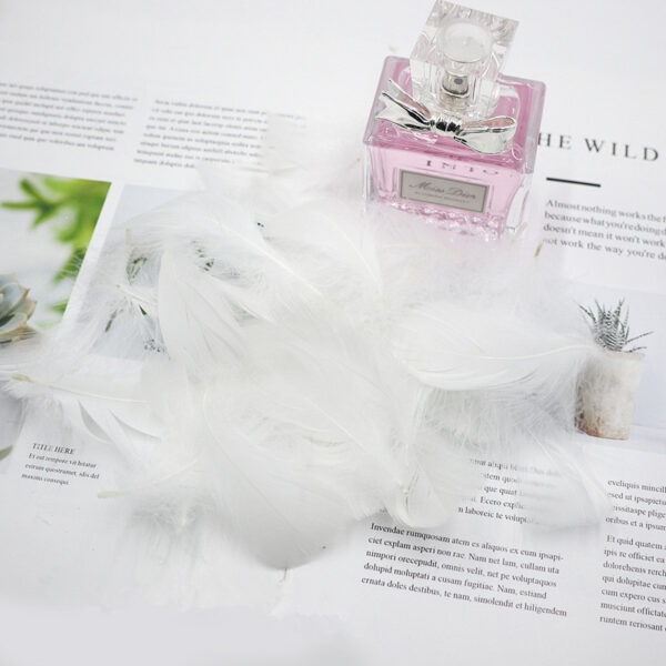 Gift Box Decoration Fillings Handmade DIY Natural Feathers - Image 3