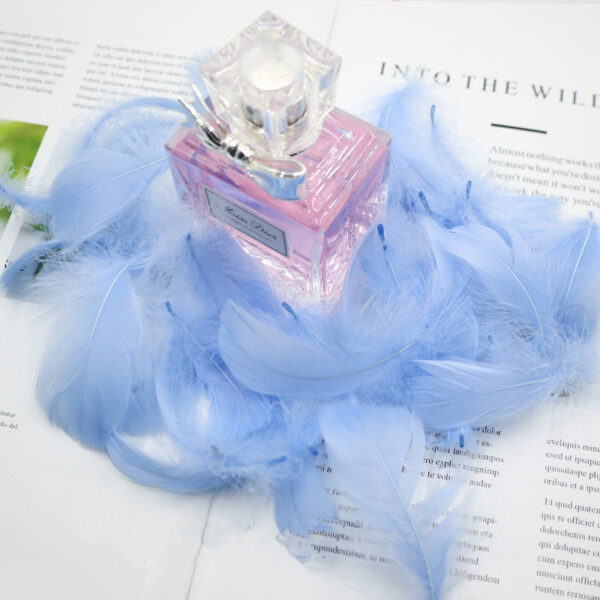 Gift Box Decoration Fillings Handmade DIY Natural Feathers - Image 4
