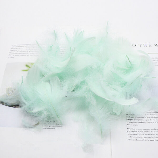 Gift Box Decoration Fillings Handmade DIY Natural Feathers - Image 5