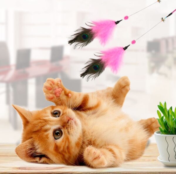 Funny Cat Stick Bite-Resistant Feather Long Rod Funny Cat Stick - Image 3
