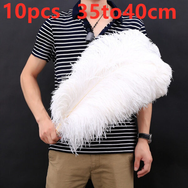 Performance jewelry accessories feather - Image 10