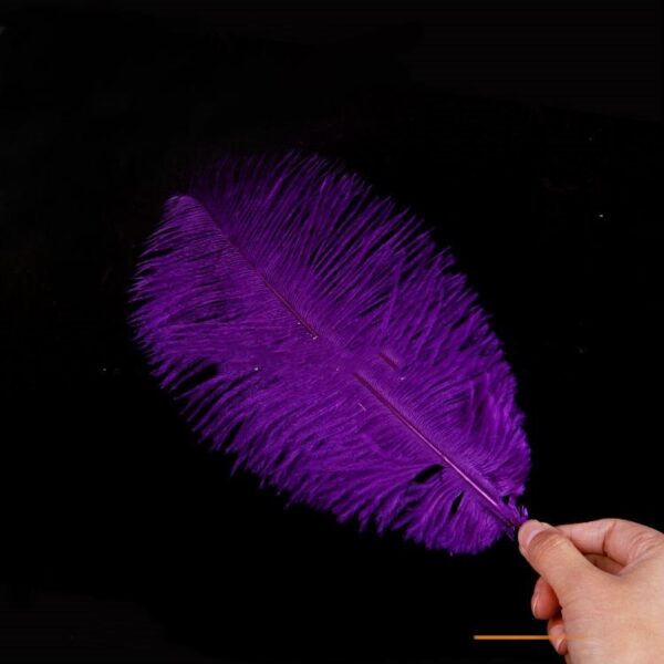 Purple Ostrich Feather Wedding - Image 2