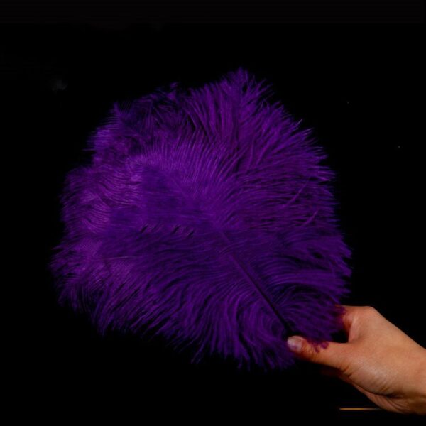 Purple Ostrich Feather Wedding - Image 4