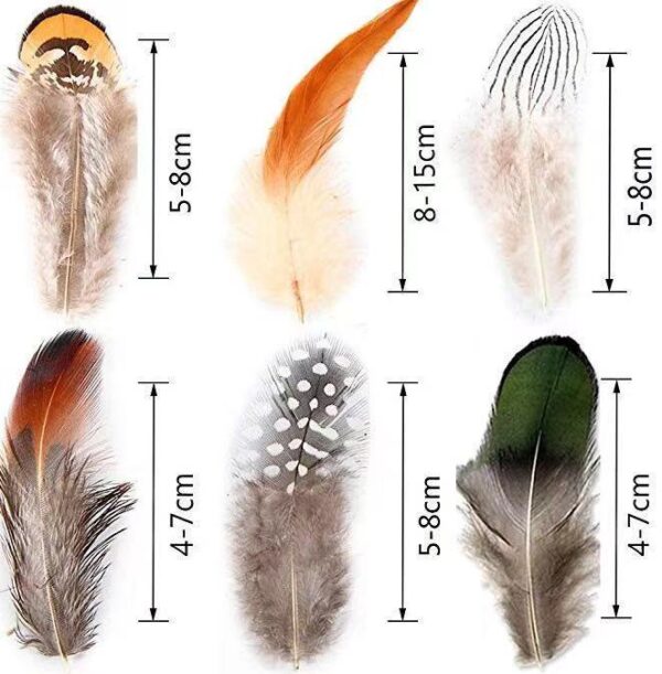Pheasant Feather Combination Feather - Image 2