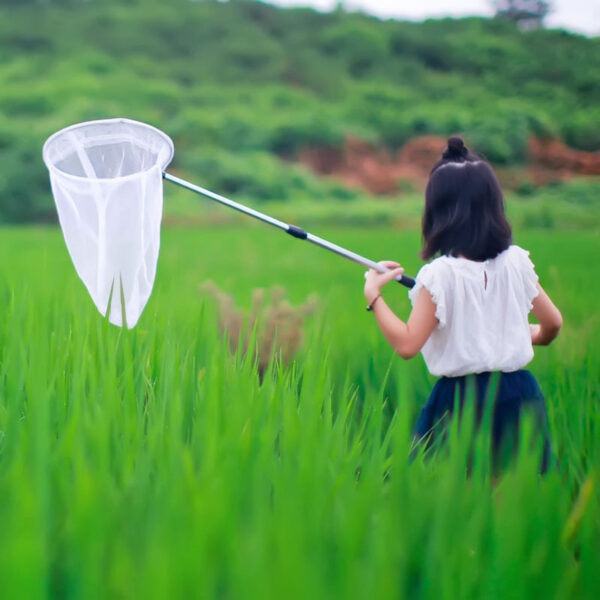 Aluminum Alloy Insect Net White Deepening Children's Dip Net - Image 2