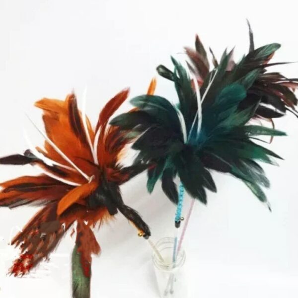 Funny cat stick colored feather