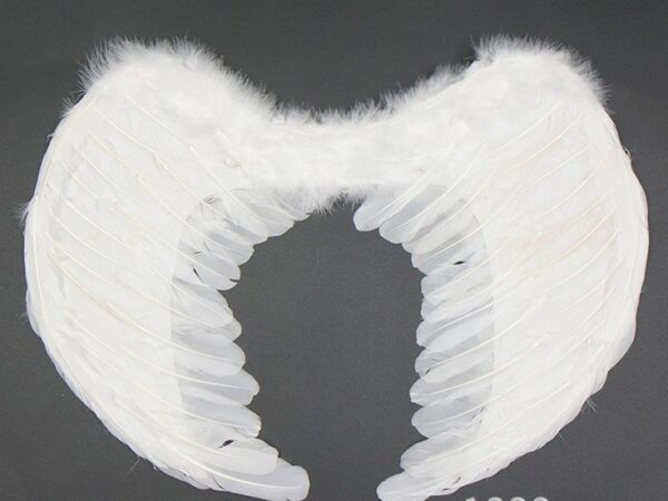 Feather angel wings - Image 6