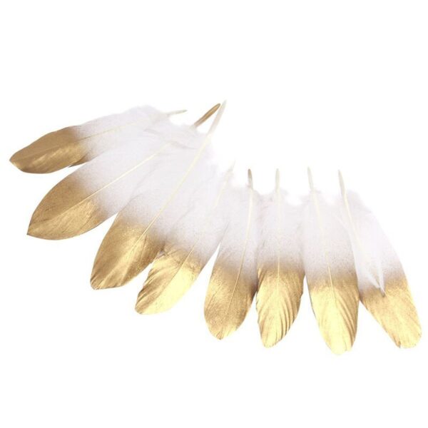 Colorful Soft Goose Feather Decorations - Image 7