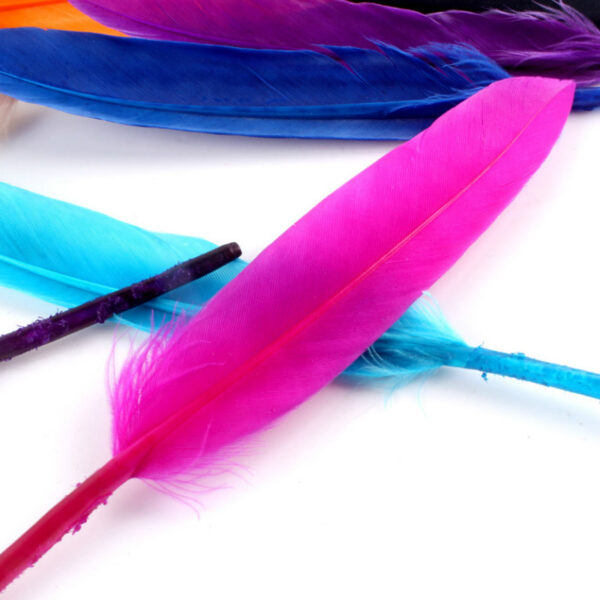 Colorful Goose Feather Straight Knife Hair Diy Accessories - Image 3