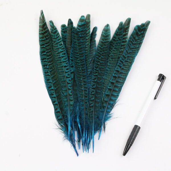 Diy Female Chicken Tail Feather Accessories - Image 9