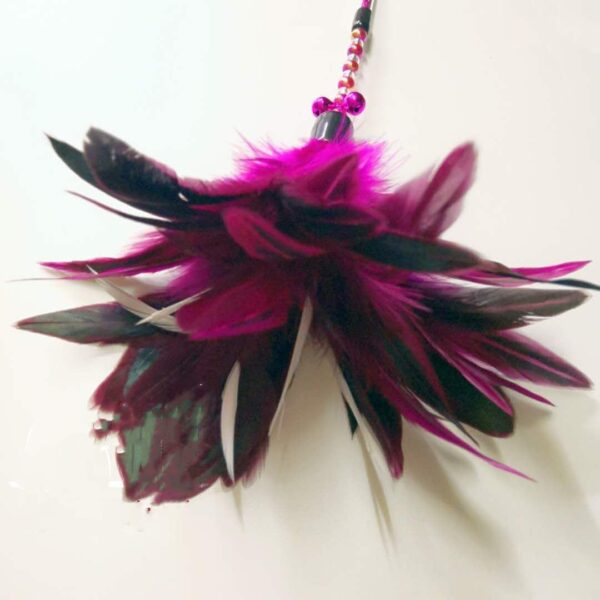 Funny cat stick colored feather - Image 2